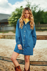 Rayana - Robe en jean